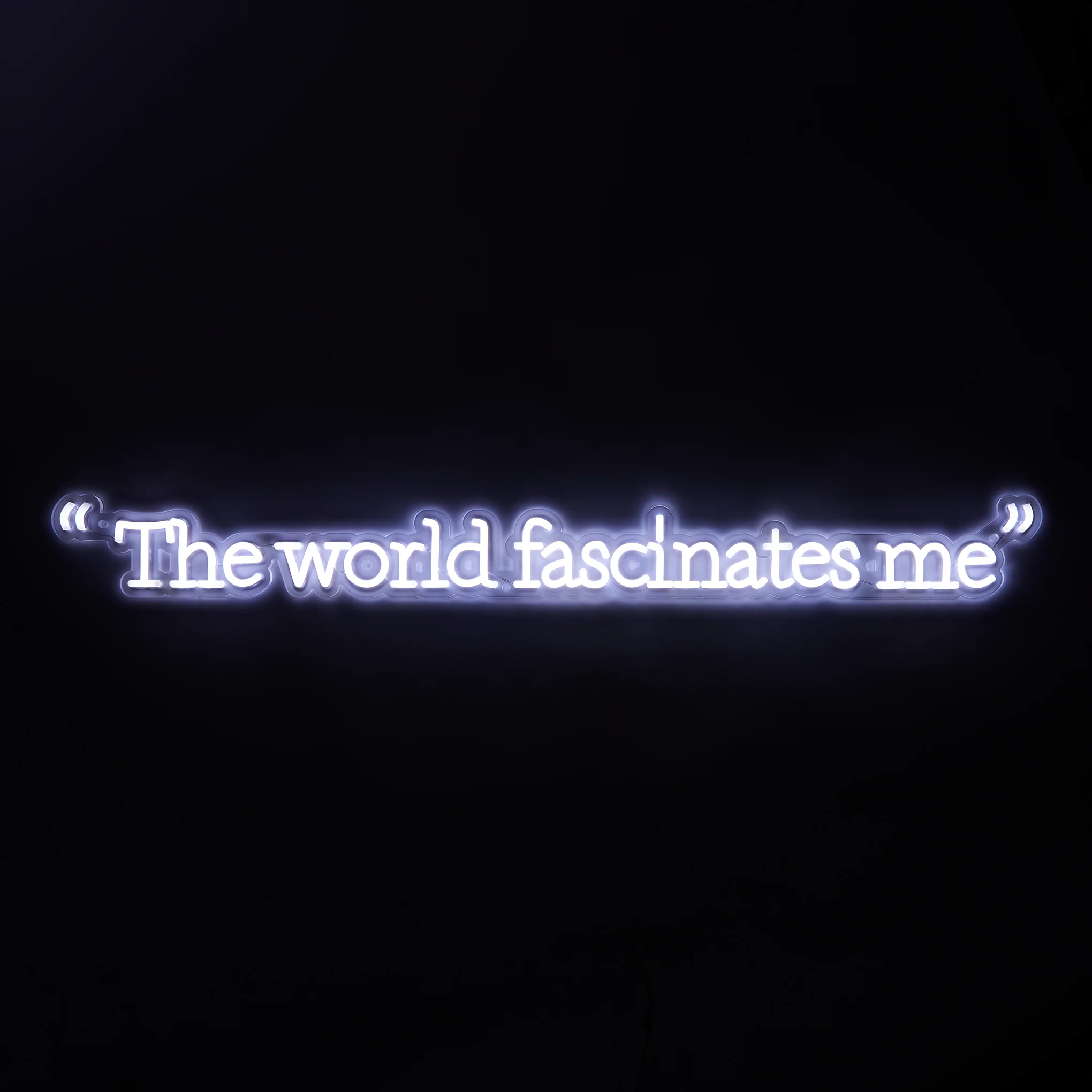 Andy Warhol The World Fascinates Me Quote Neon Sign - Image 2