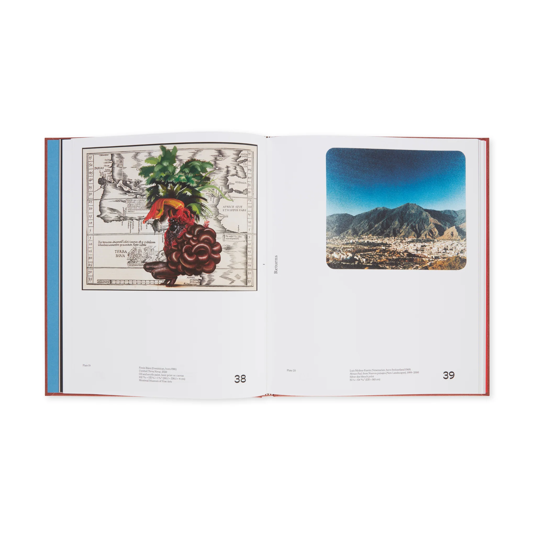 Chosen Memories: Contemporary Latin American Art from the Patricia Phelps de Cisneros Gift and Beyond - Hardcover - Image 5