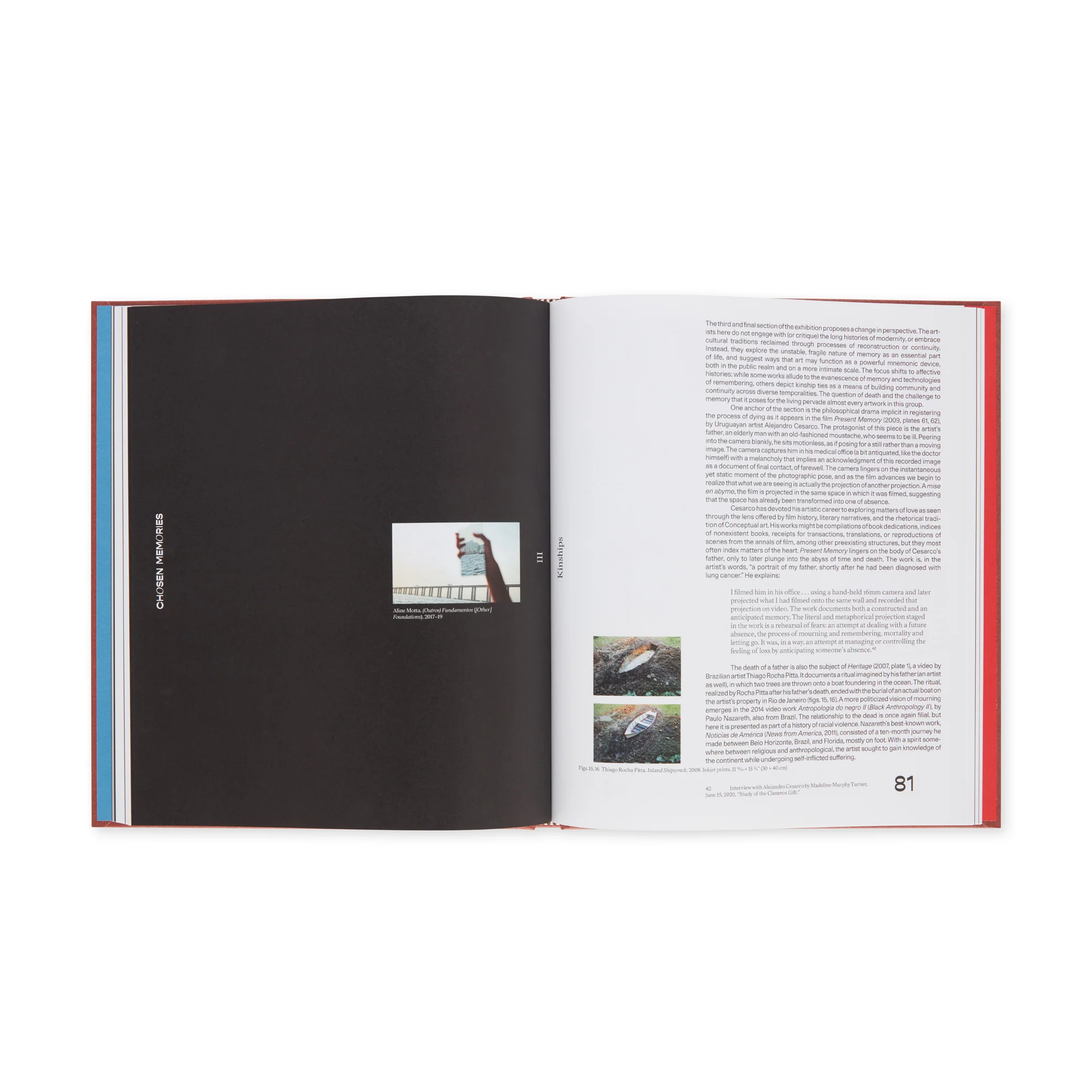 Chosen Memories: Contemporary Latin American Art from the Patricia Phelps de Cisneros Gift and Beyond - Hardcover - Image 6