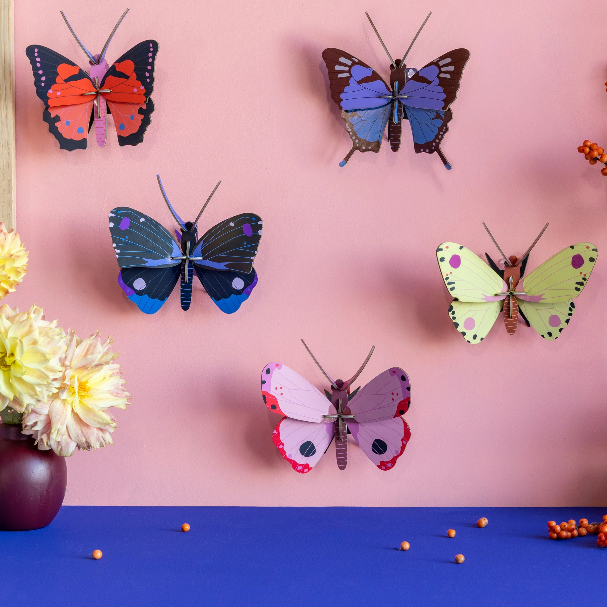 DIY Mini Butterfly Kit - Crysalus Butterfly - Image 3