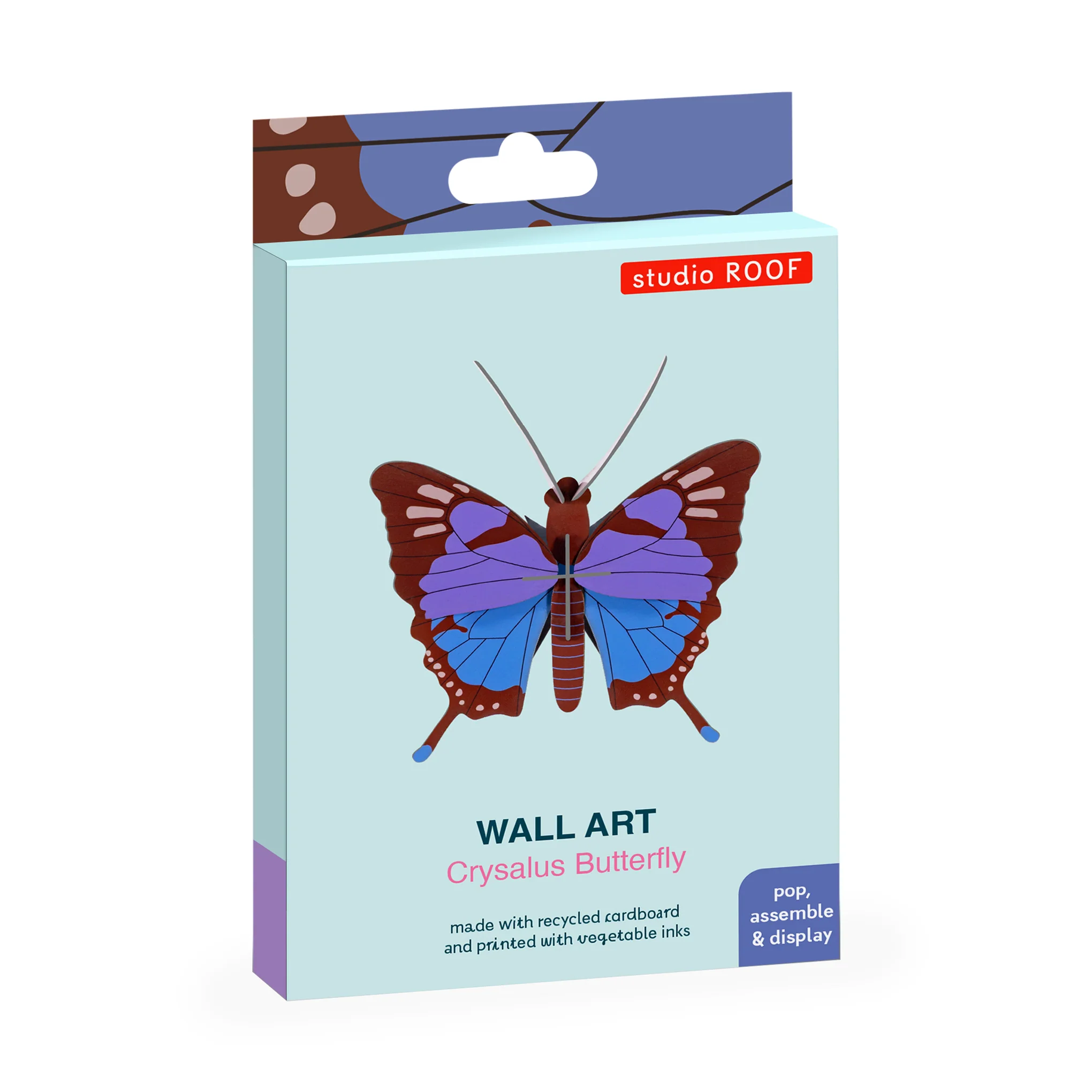 DIY Mini Butterfly Kit - Crysalus Butterfly - Image 4