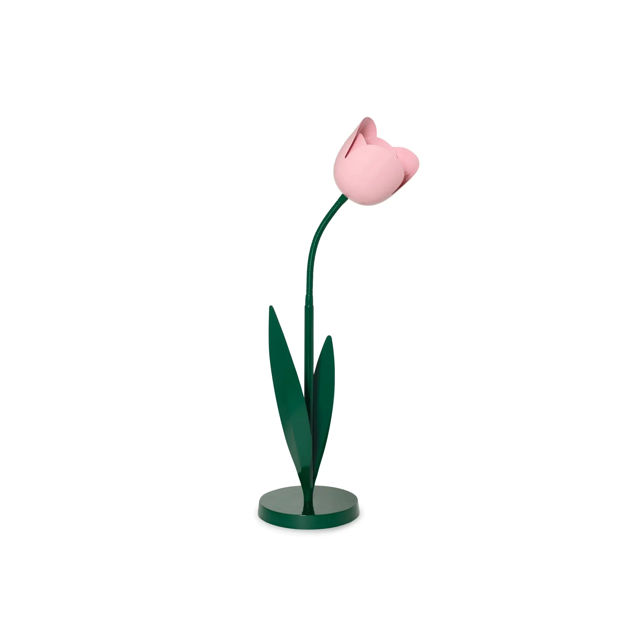 Flower Lamp - Pink Tulip - Image 5