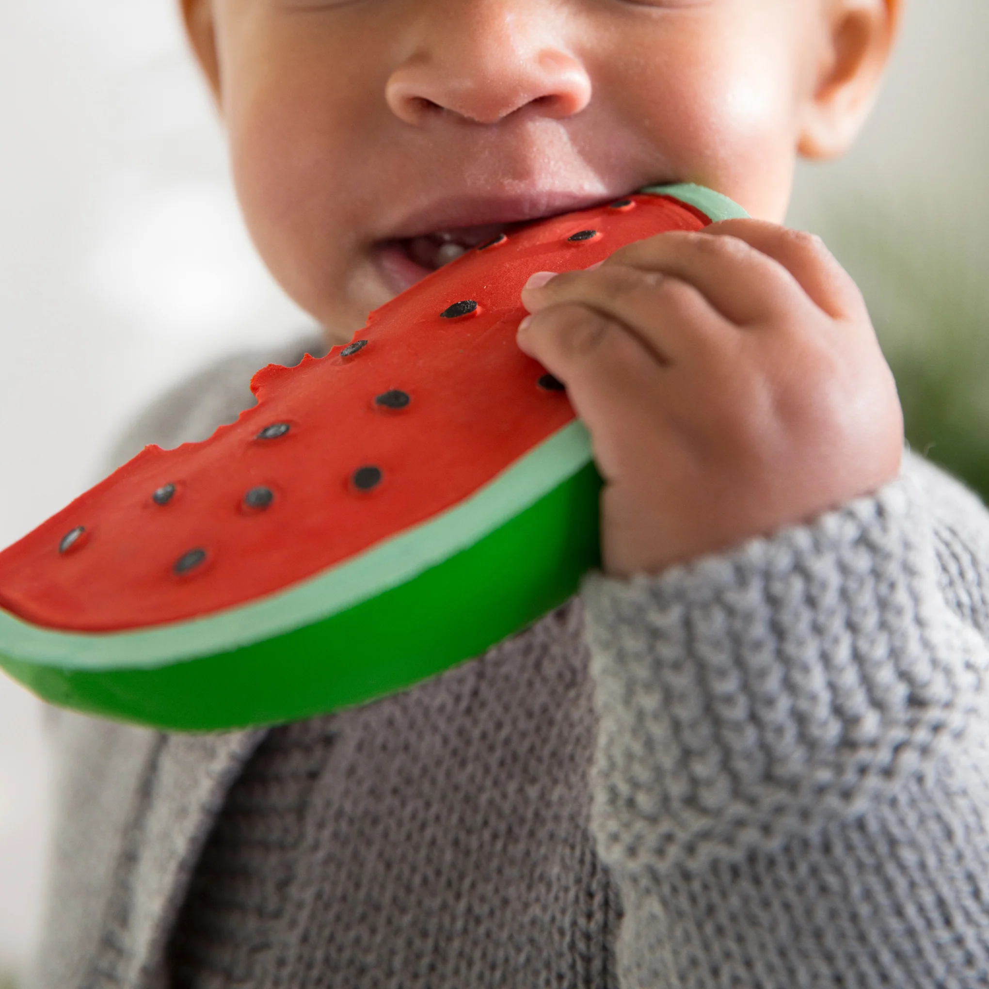 Fruit Teether Toy - Watermelon - Image 2