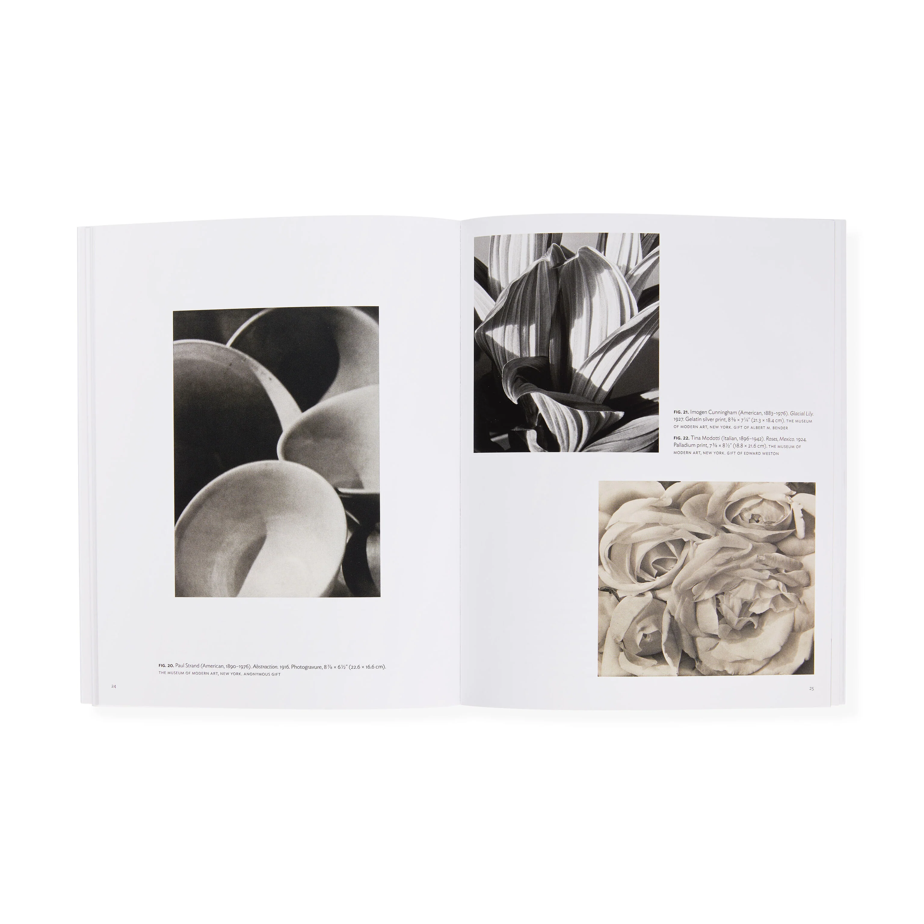 Georgia O’Keeffe: Abstraction Blue - MoMA One on One Series - Paperback - Image 5