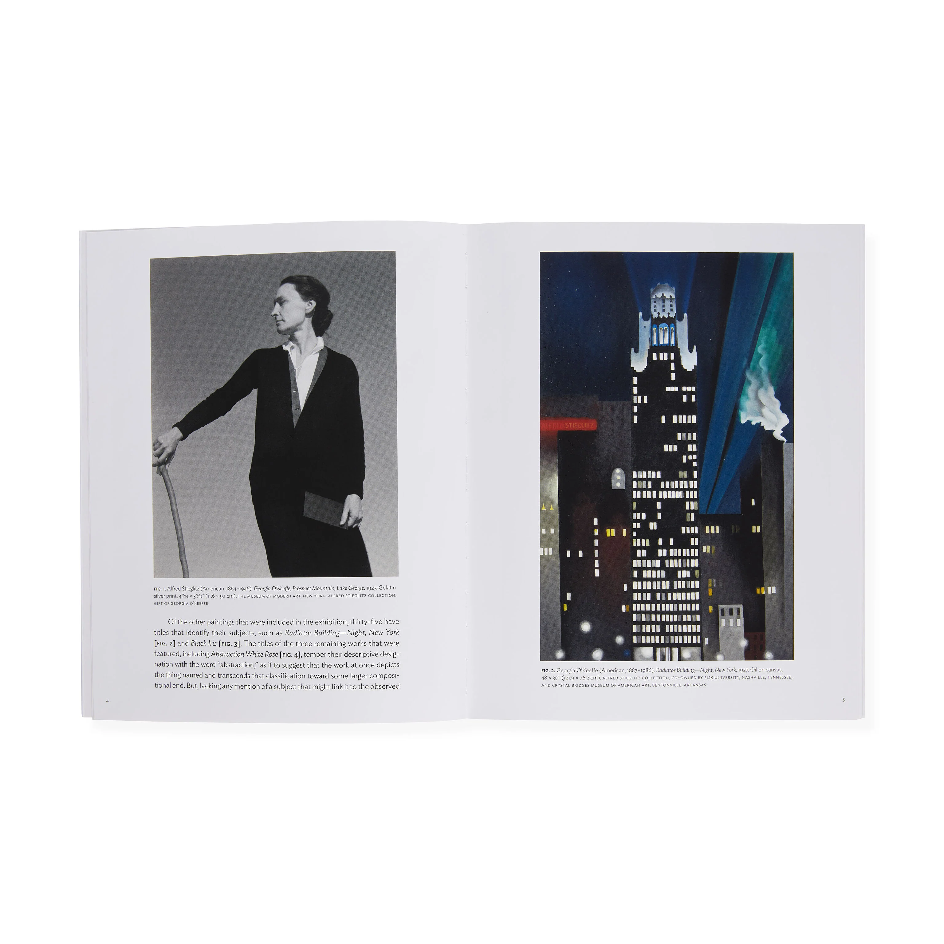 Georgia O’Keeffe: Abstraction Blue - MoMA One on One Series - Paperback - Image 7