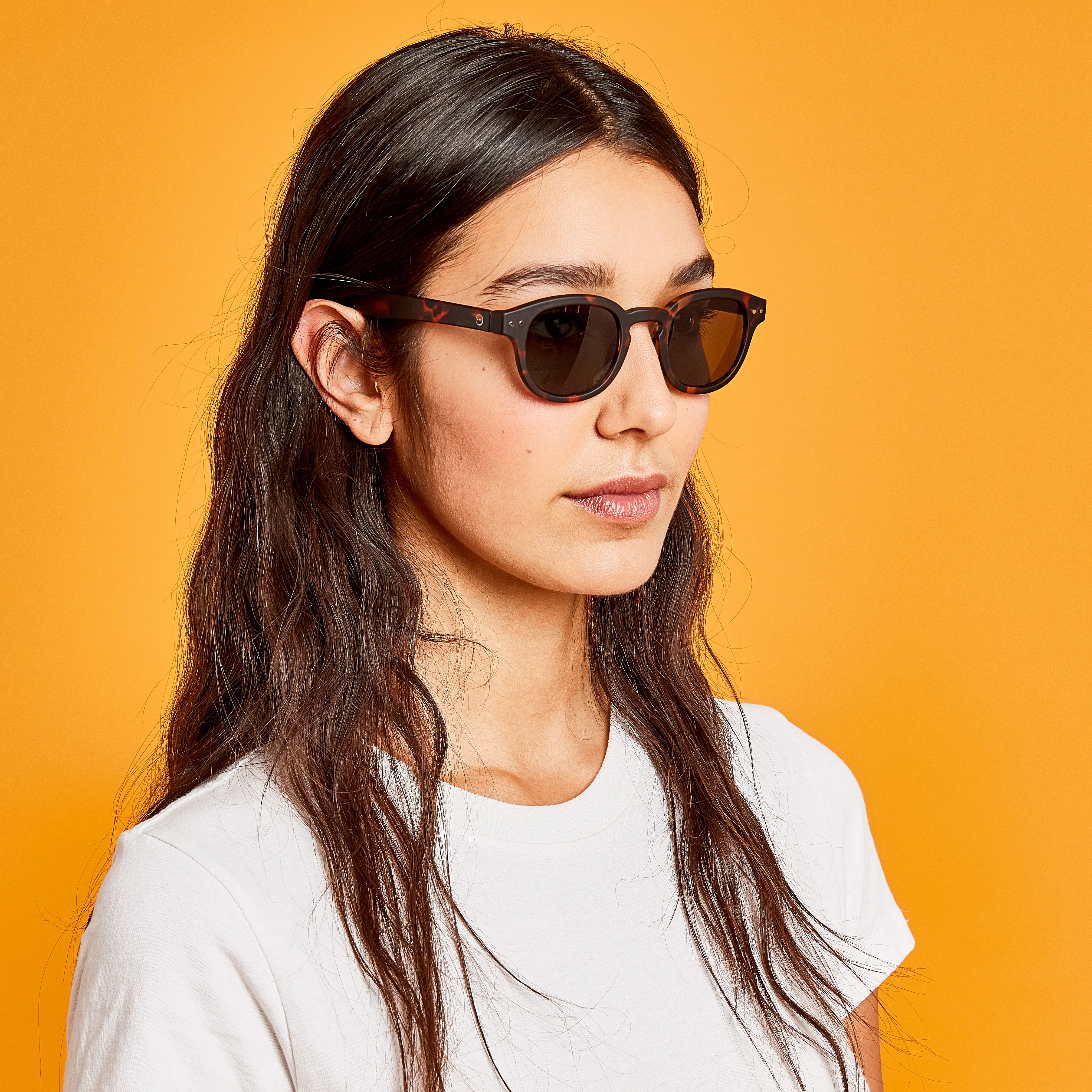 IZIPIZI Rounded-Edge Square Sunglasses #C - Black - Image 13