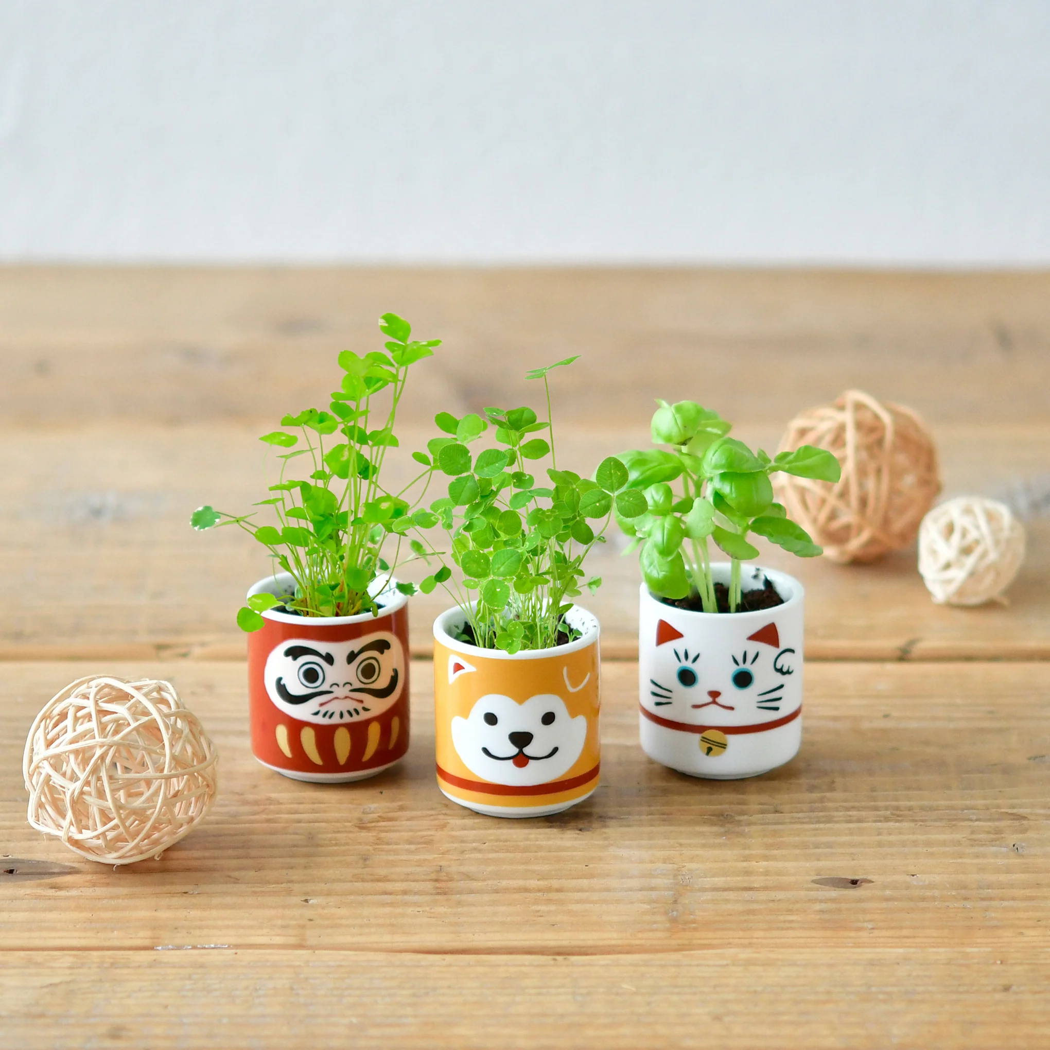 Lucky Mini Planter Kit - Cat / Clover - Image 3
