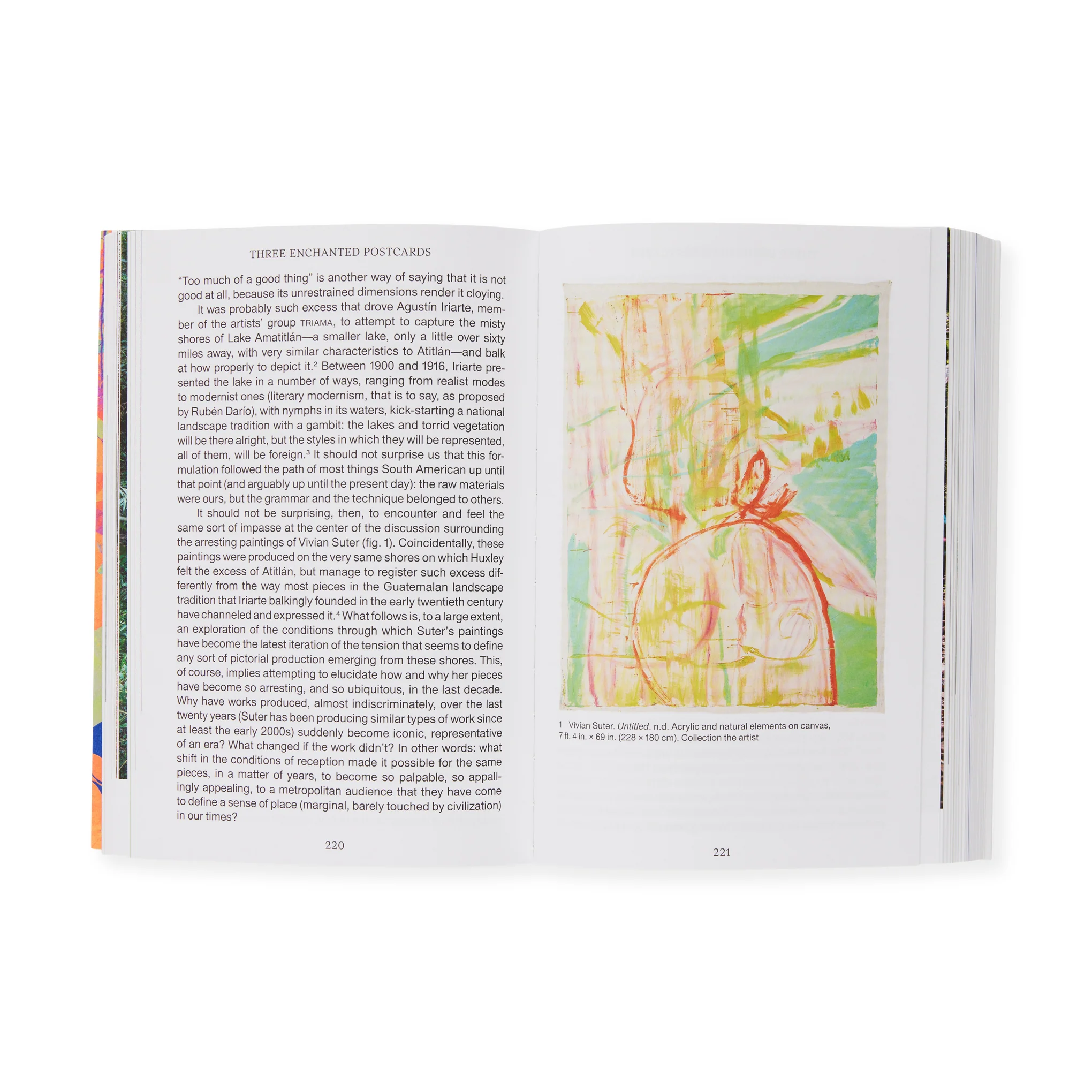 Momentum: Art and Ecology in Contemporary Latin America – Paperback - Image 5