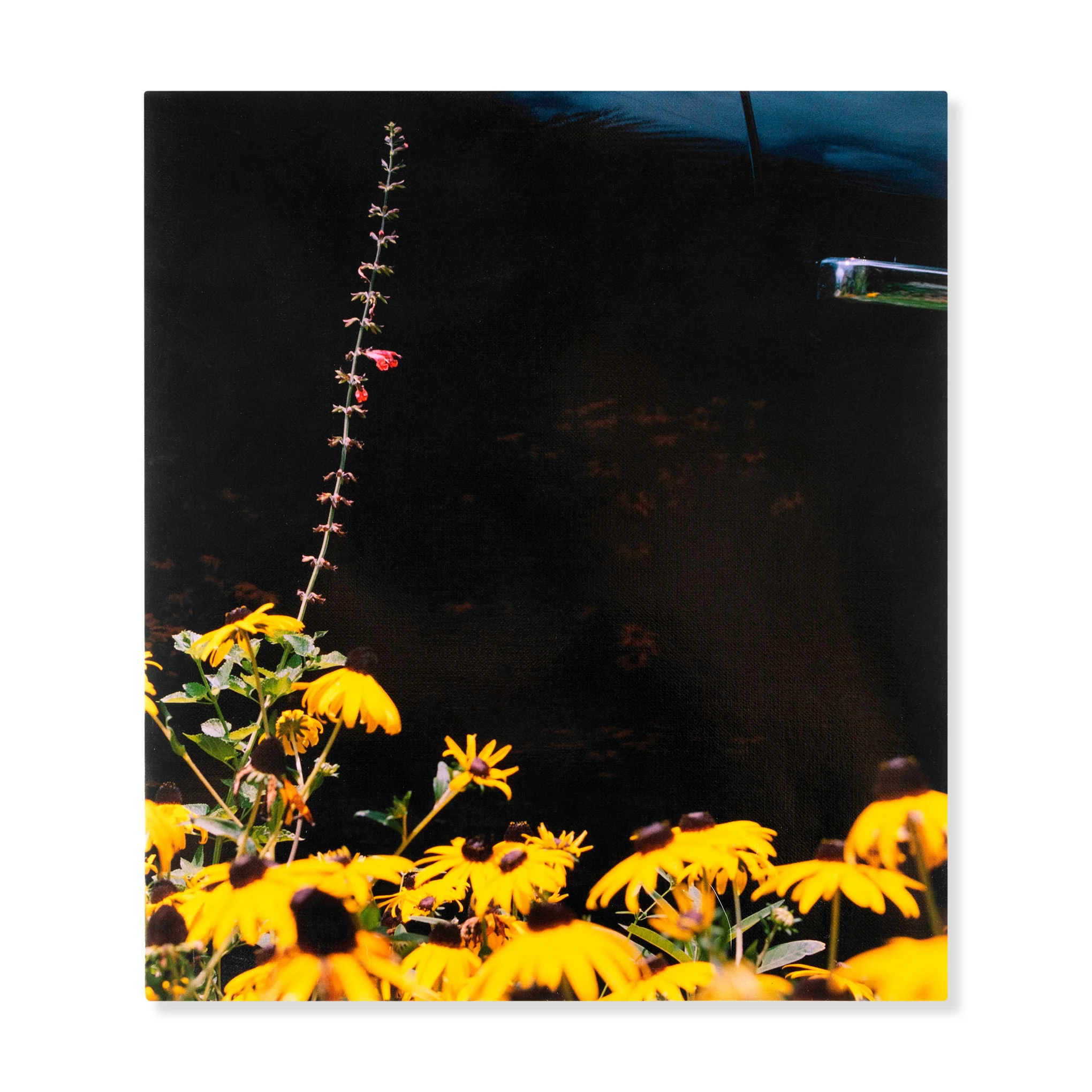 Mystery Street, Photographs by Vasantha Yogananthan - Hardcover