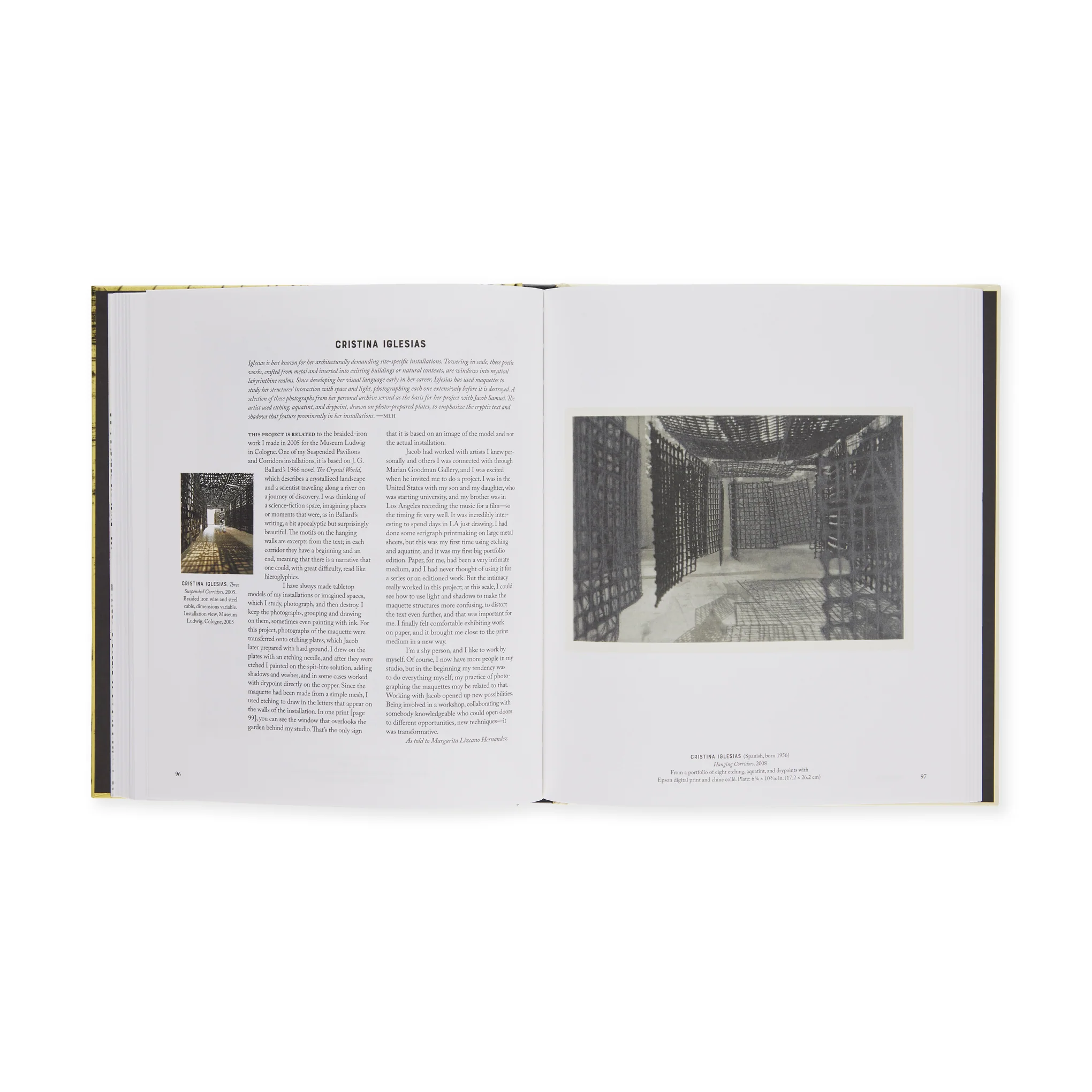 New Ground: Jacob Samuel and Contemporary Etching - Hardcover - Image 5