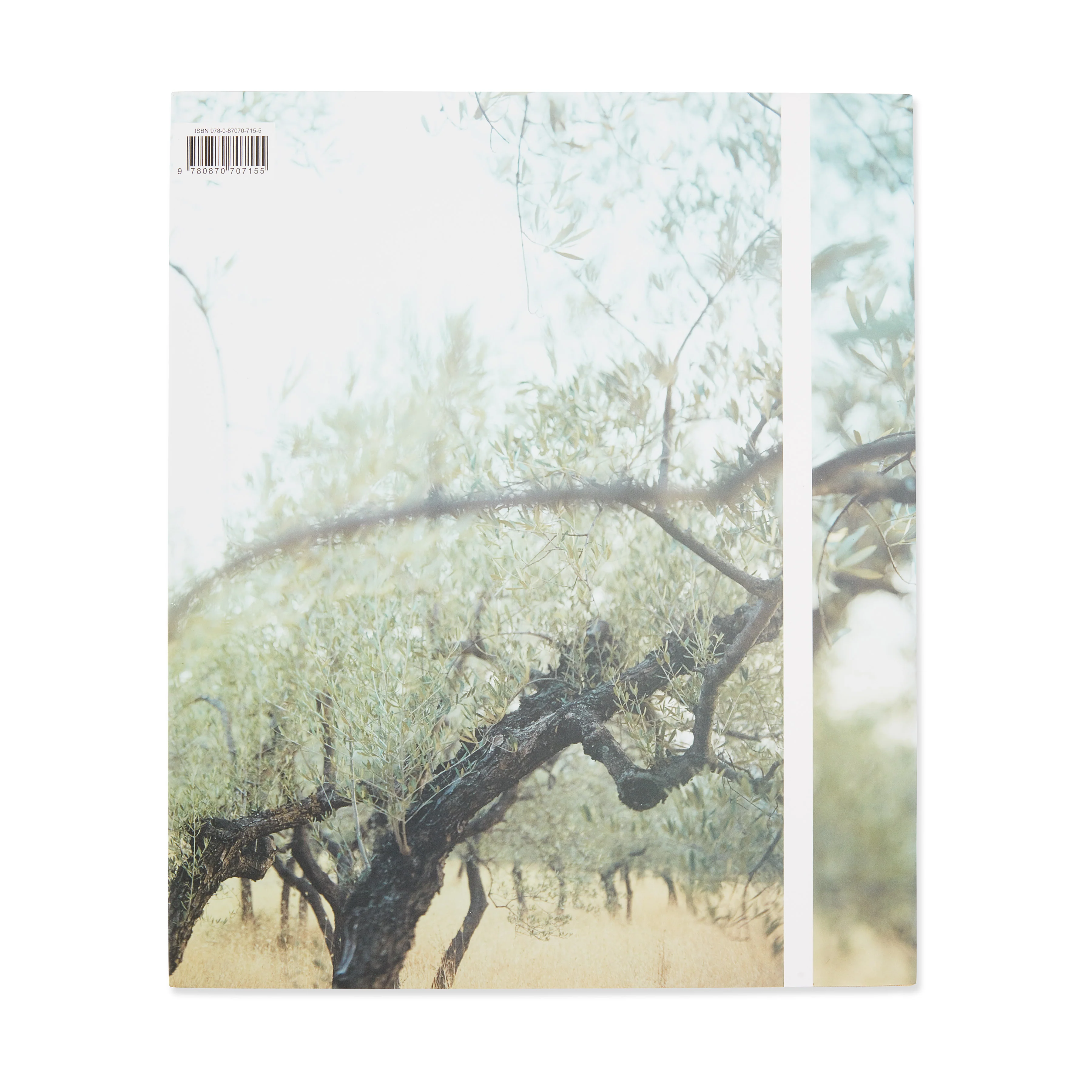 Present Tense: Photographs by JoAnn Verburg - Hardcover - Image 2