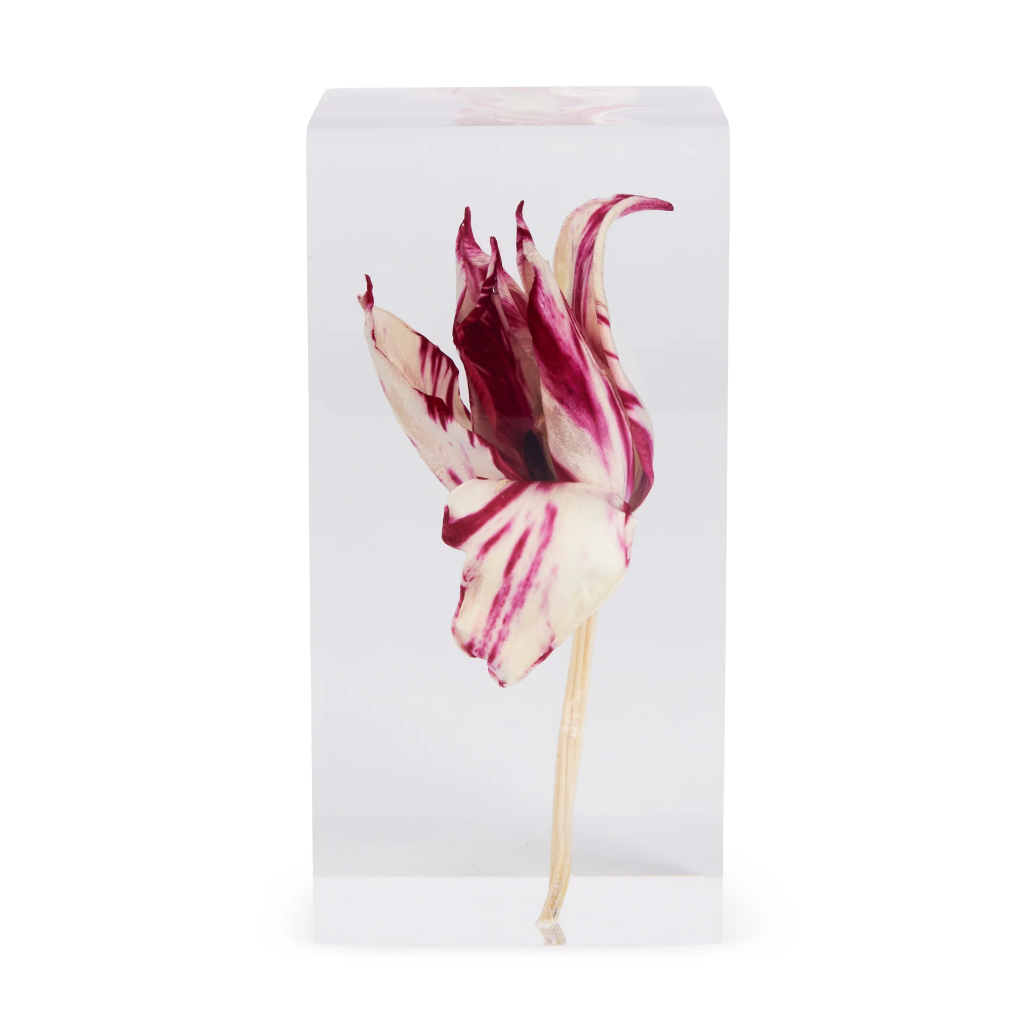 Rare Tulip Objet d’Art - Image 3