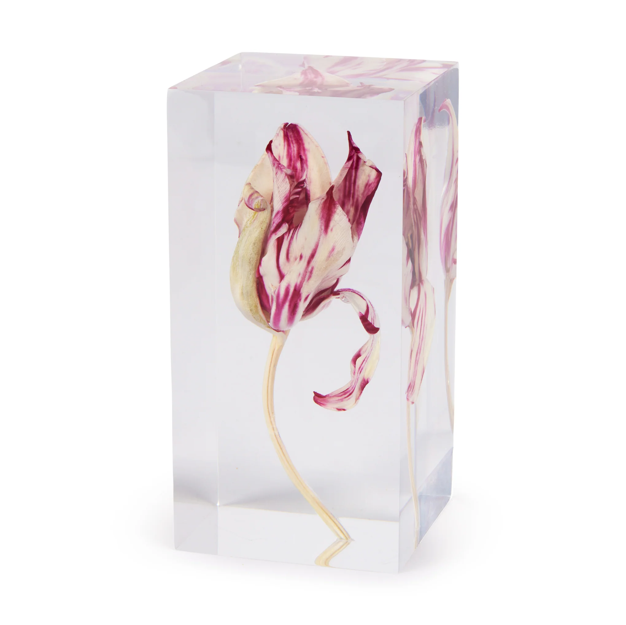 Rare Tulip Objet d’Art - Image 4