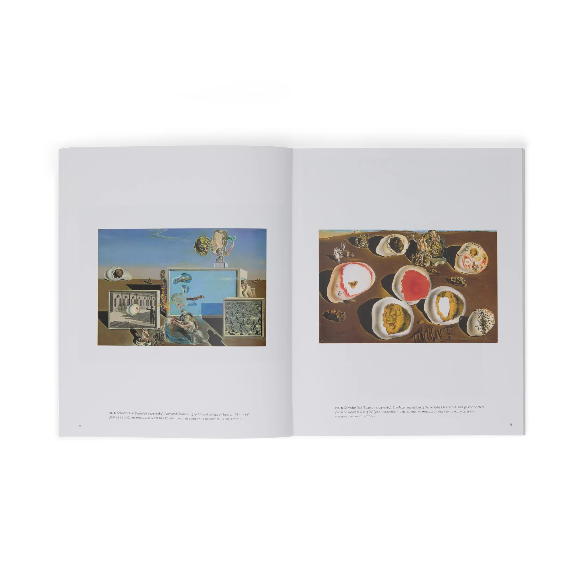 Salvador Dalí: The Persistence of Memory (MoMA One on One Series) - Paperback Book - Image 7