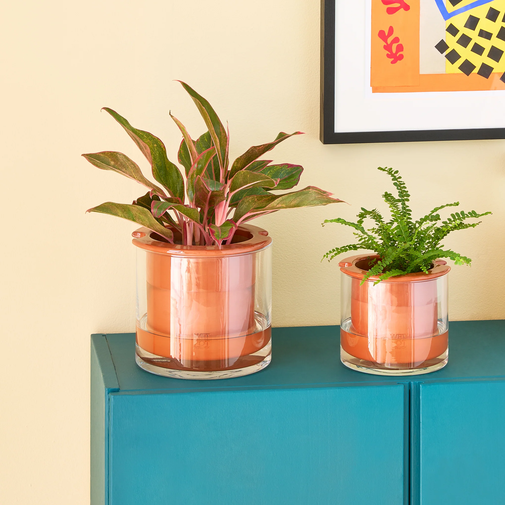 Self-Watering Wet Pots - Medium - Image 4