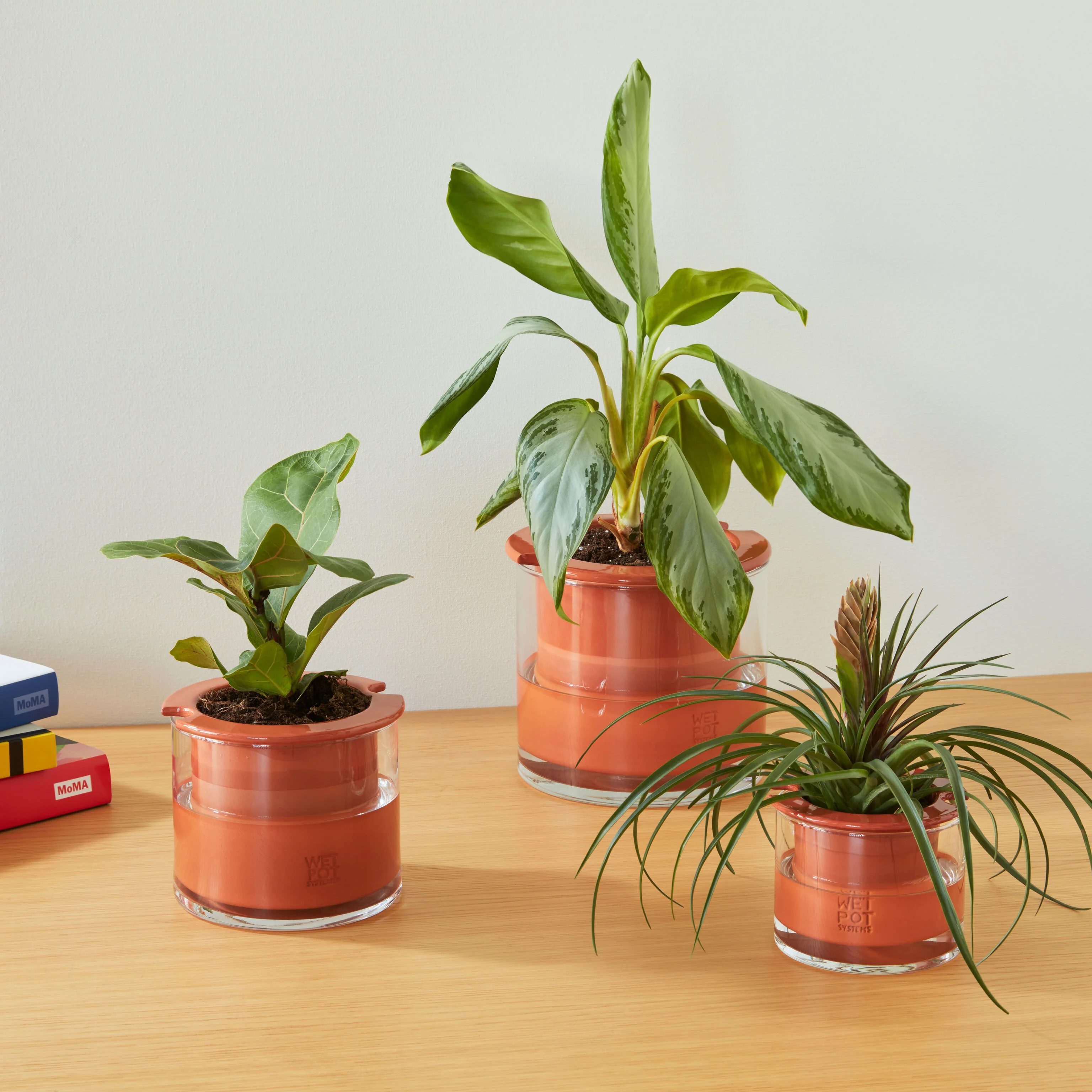 Self-Watering Wet Pots - Small - Image 5