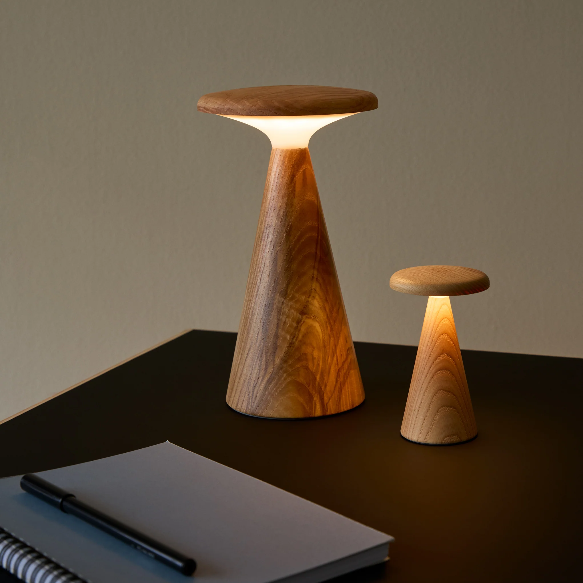 Sylva Portable Lamp - Large - Image 8