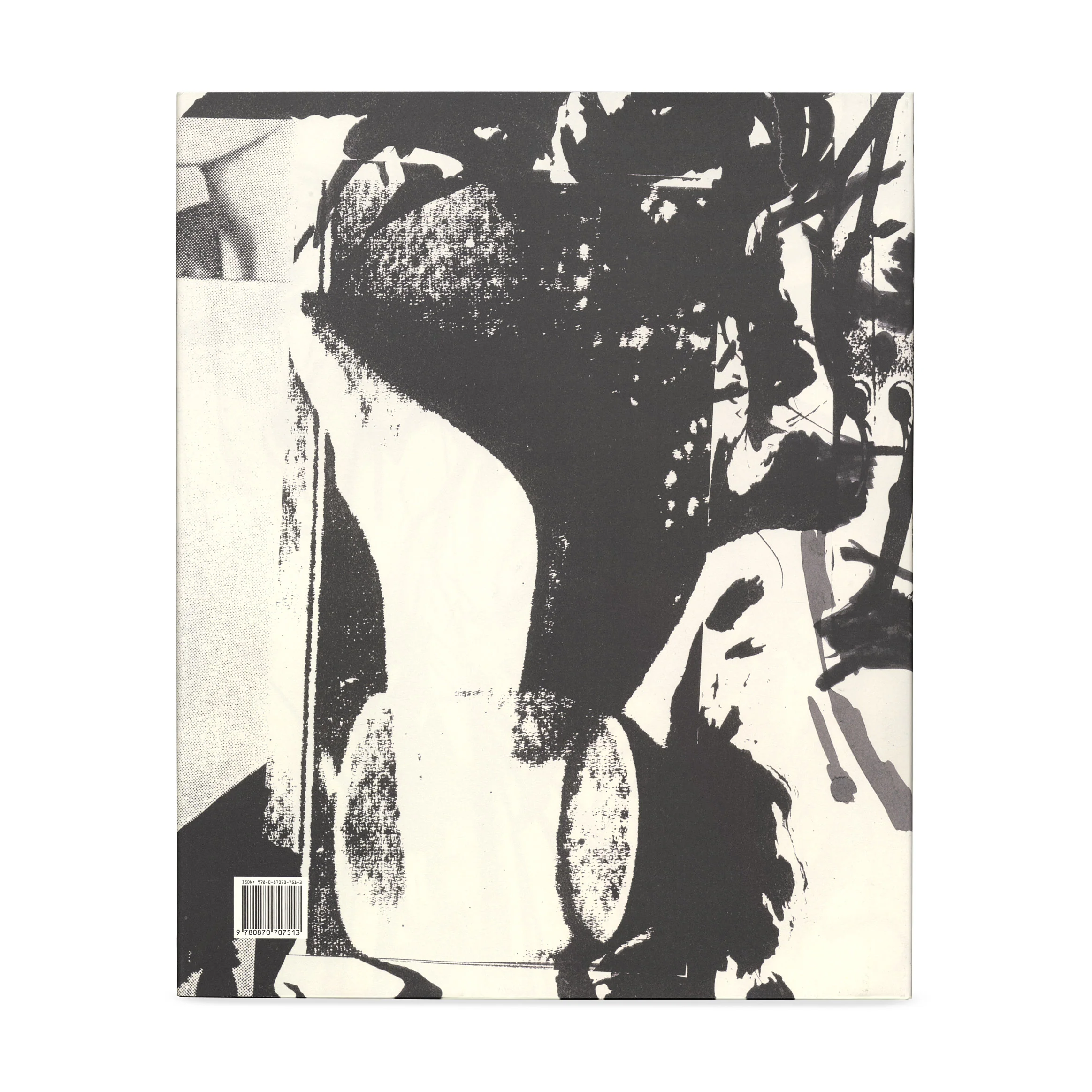 The Judith Rothschild Foundation Contemporary Drawings Collection: Catalogue Raisonné - Hardcover - Image 2