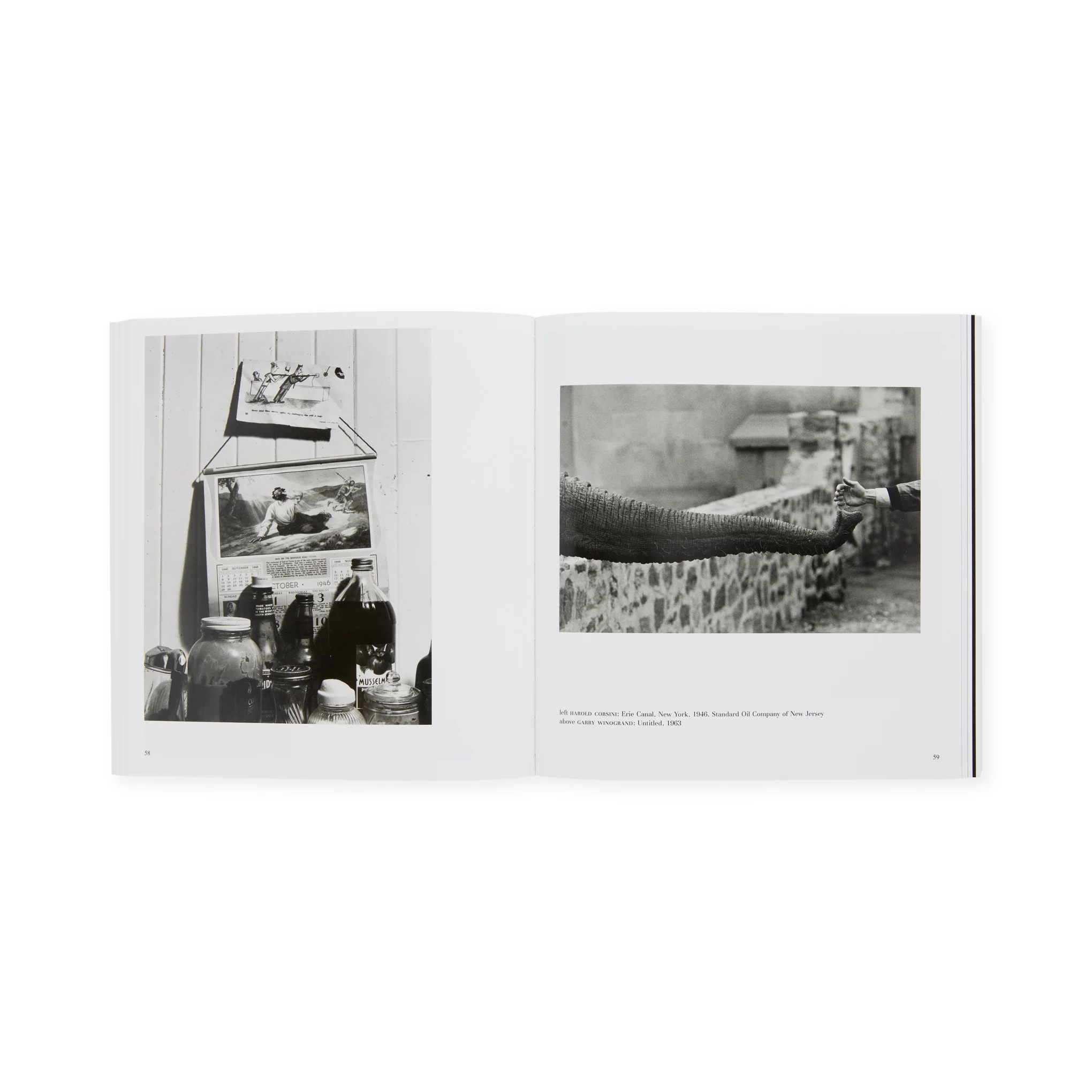 The Photographer's Eye - Paperback - Image 4