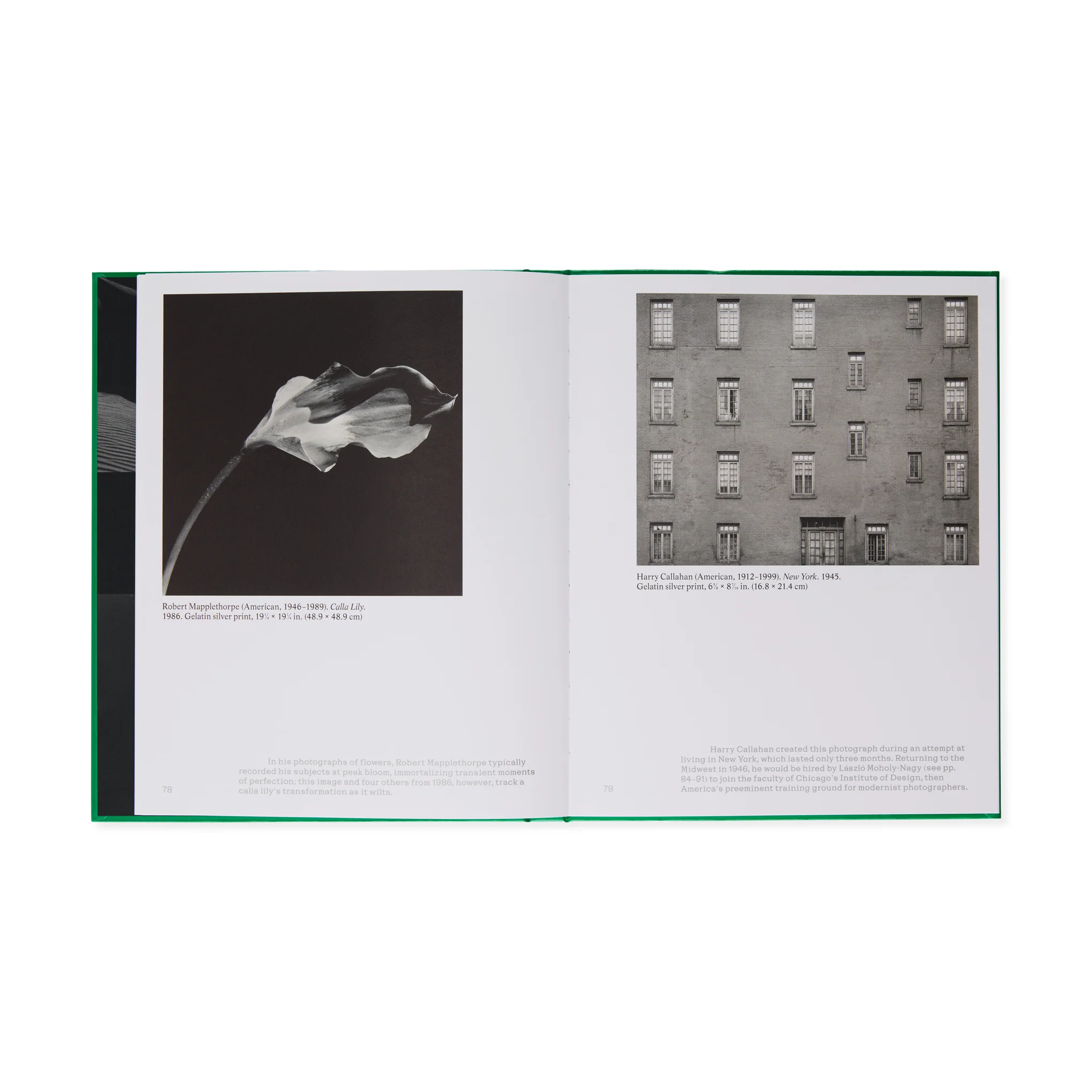 Time Travelers: Photographs from the Gayle Greenhill Collection - Hardcover Book - Image 7