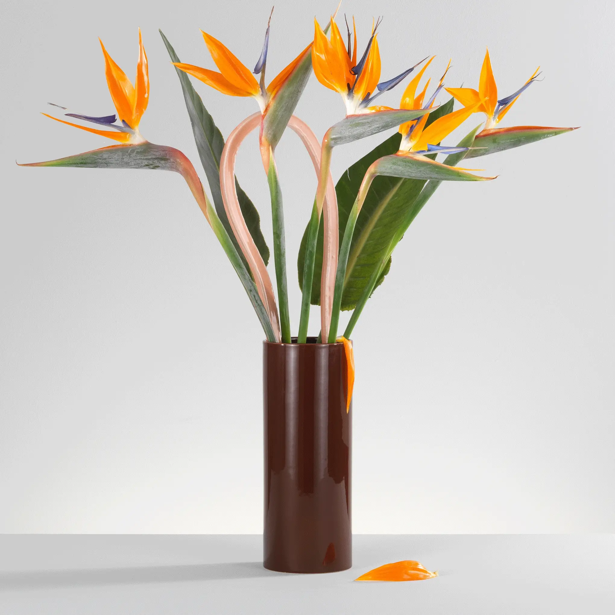 Vitra Découpage Ceramic Vase - Orange - Image 2
