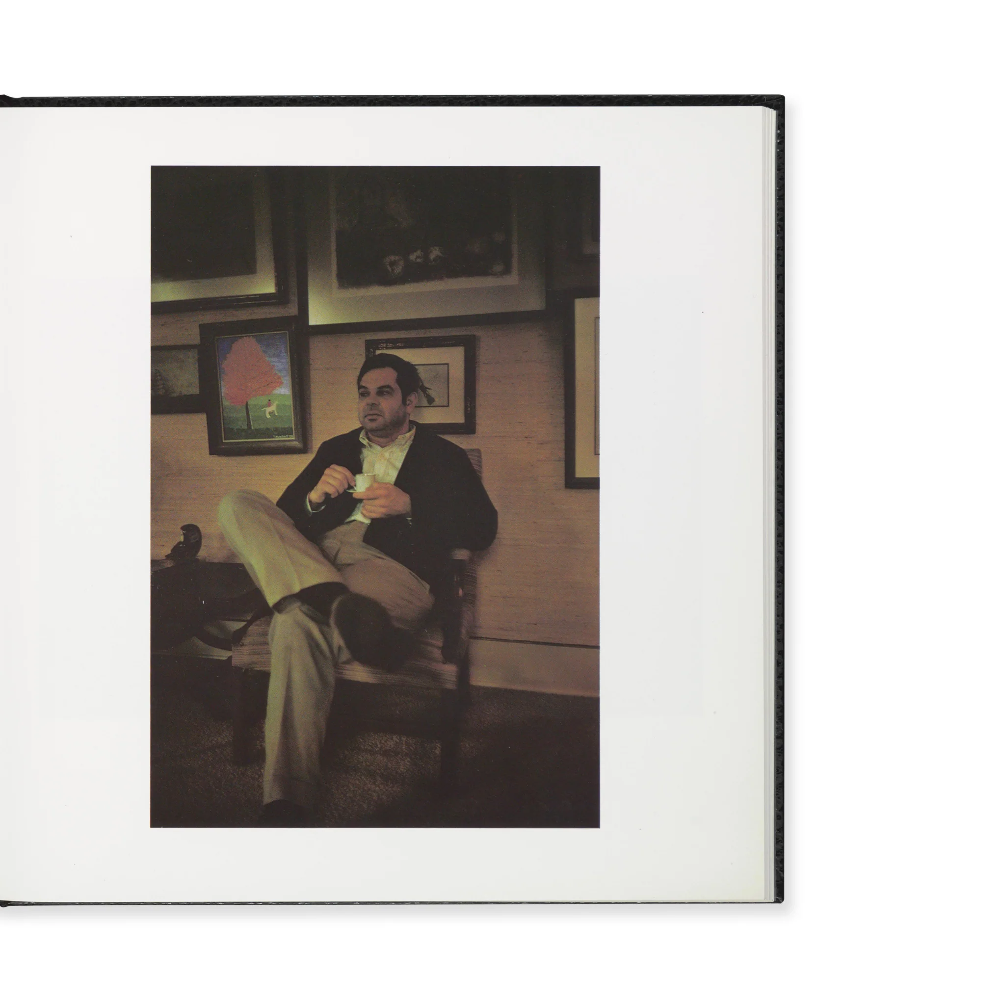 William Eggleston's Guide - Hardcover - Image 4